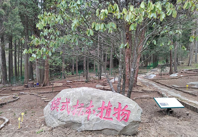  廬山模式標(biāo)本植物專類園